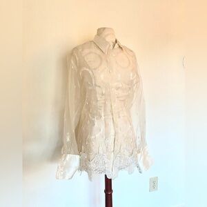 Vintage 1970’s indie gorgeous see-through transparent embroidered collared top